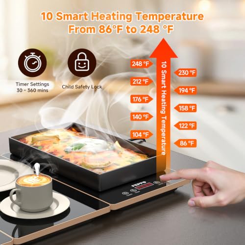 FEPPO Electric Warming Tray 4-in-1 Food Warmer Buffet with Black and Gold Finish