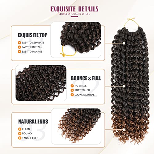 Dansama Passion Twist Water Wave Crochet Hair 12 Inch - Pack of 6, T1B/30