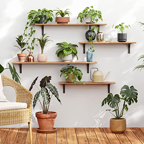 DINZI LVJ Rustic Brown 55.1-Inch Wall Mounted Shelves Set of 2 - Vintage Wooden Storage