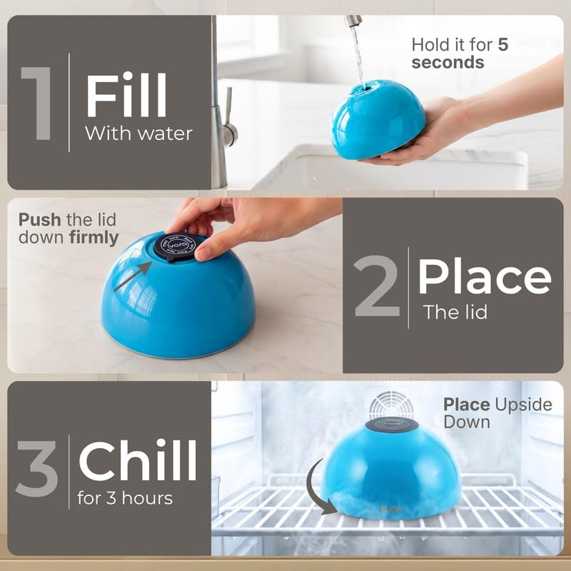 Stainless Steel Dip Chiller Bowls Set of 2 with Lid & Condensation Mat - 70oz