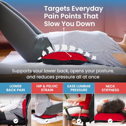 Back Vitalizer Lumbar Support Pillow for Office Chair & Car - Black