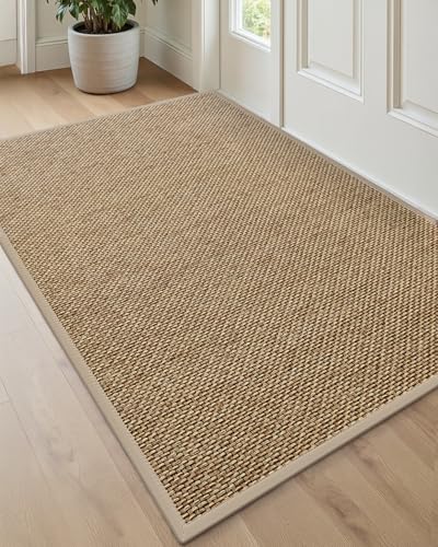 DEXI Ultra Thin Indoor Door Mat 36x56 Beige Non Slip Entrance Rug
