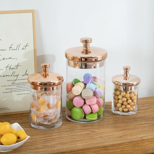 Glass Apothecary Cookie Jar Set with Copper Lids - Clear / Copper - Kitchen & Bathroom Storage