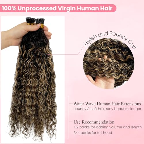 Water Wave I Tip Human Hair Extensions - Balayage Natural Black with Honey Blonde Highlights - 14 Inch, 100 Strands - Variation #1BP27