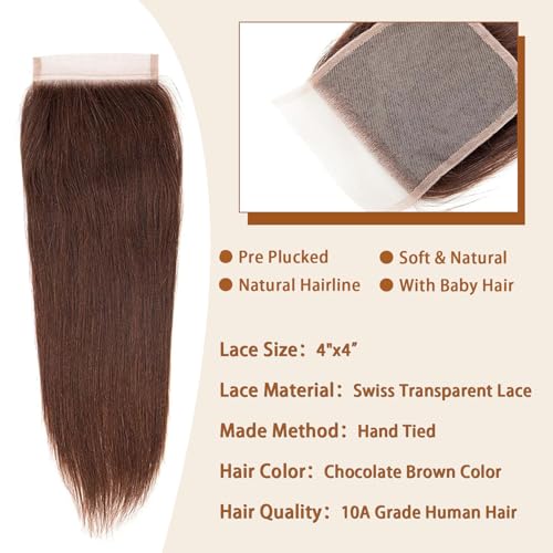 10 Inch Brown Straight Human Hair Lace Frontal Closure - Pre Plucked Baby Hair, 4x4 HD Swiss Lace, Brazilian Virgin