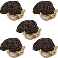 Natural Elephant Pumice Stone for Feet | Volcanic Lava Rock Callus Remover & Foot Scrubber | Pack of 5