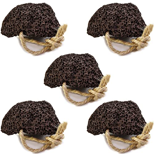 Natural Elephant Pumice Stone for Feet | Volcanic Lava Rock Callus Remover & Foot Scrubber | Pack of 5