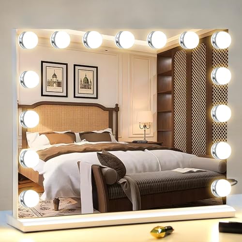 Vanity Mirror with Lights, Lighted Makeup Mirror with 15 Dimmable LED Bulbs, Hollywood Mirrors with USB Port, Detachable 10X Magnification, 3 Lighting Modes (22.8" L x 18.1" W)