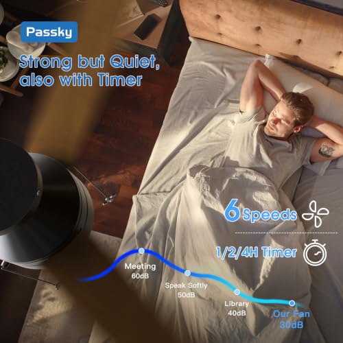 Passky 42 Inch Black Low Profile Ceiling Fan with Light & Remote - Flush Mount