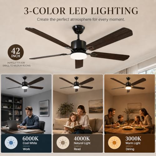 42 Inch Ceiling Fan with Lights and Remote - Black, Dual-Sided Blades