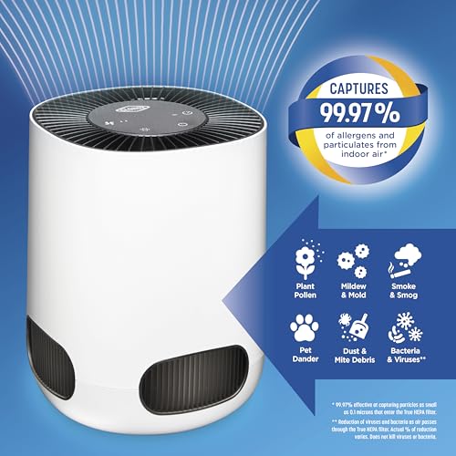 Clorox True HEPA Small Room Air Purifier White Up to 200 Sq Ft