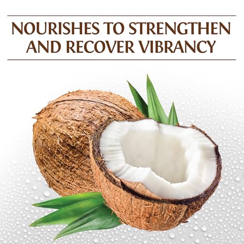 BioSilk Silk Therapy with Coconut Oil Moisturizing Conditioner - 12 Fl Oz Pack of 2