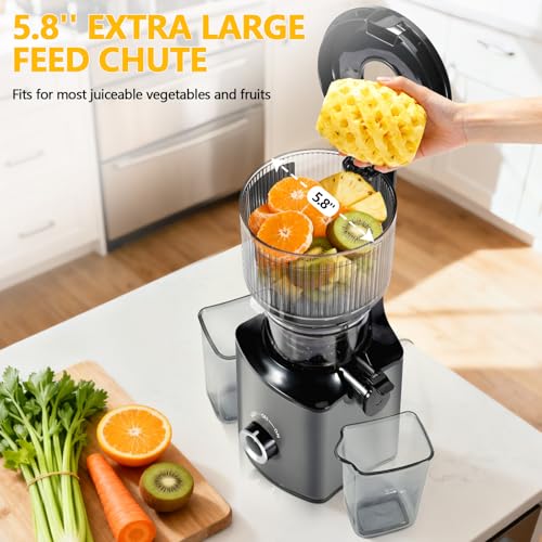 Threeall Deep Grey Cold Press Juicer with 5.8" Wide Feed Chute, Slow Masticating