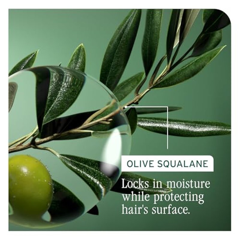 Biolage Winter Rescue Kit - Hydra Source and Strength Cure Mini Shampoo, Conditioner and Scalp Sync Concentrate, Hydrates and Repairs Damage, For Healthy Scalp And Strong Hair