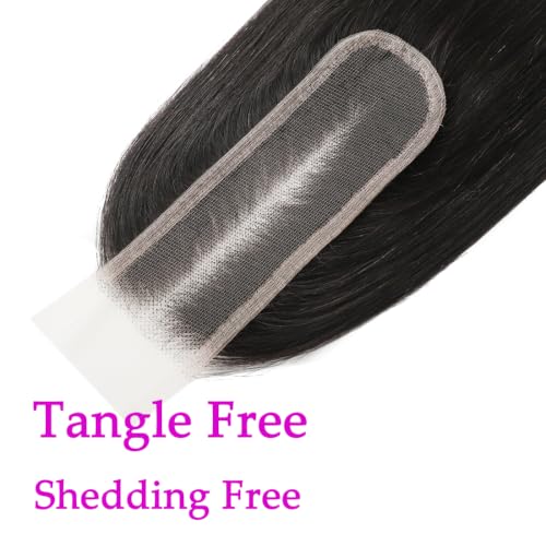 20 Inch Human Hair Lace Closure 2x6 Straight HD Transparent Skinlike Virgin Brazilian
