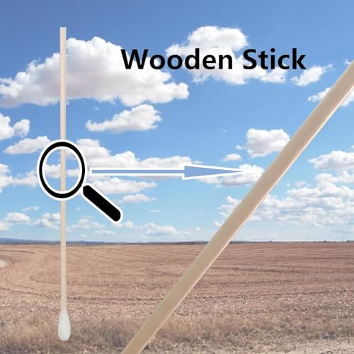 Long Cotton Swabs with Wooden Handle - 2000pcs for Ear & Surface Cleaning - Variation of 2000