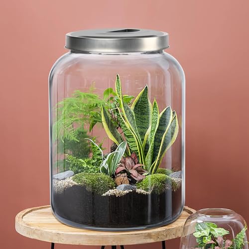 Large Glass Storage Jar with Stainless Steel Lid 5.5 Gallon 21000ml Kitchen Organizer