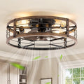LEDIARY 20-Inch Caged Low Profile Ceiling Fan with Light & Remote - Black & Gold