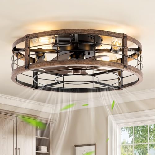 LEDIARY 20-Inch Caged Low Profile Ceiling Fan with Light & Remote - Black & Gold
