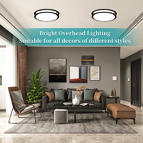 Black 16-Inch LED Ceiling Light Fixtures 50W Dimmable 5CCT Adjustable Pack of 2