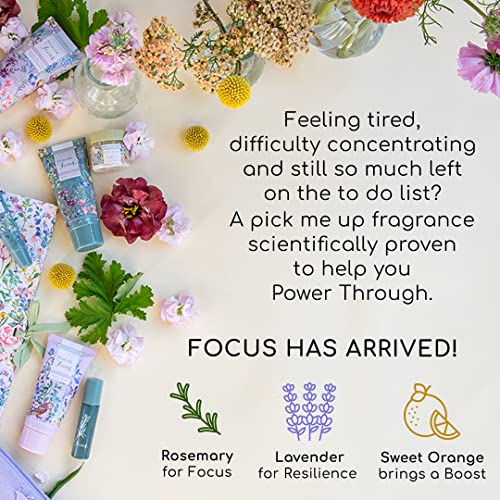 Lavender Fields Hand Cream Collection - Vegan Friendly Moisturizer Gift Set with Essential Oils - Flower Of Focus Variation