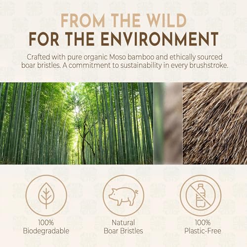 Boar Hair Hard Bristle Bamboo Toothbrush 5 Pack - Natural Organic, Eco-Friendly, Quick Dry