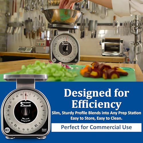 Mechanical Food Scale - Modern Silver Dial Kitchen & Restaurant Scale, 2 lb Capacity