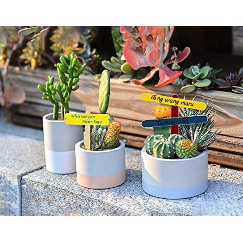 Xujia Small All Natural Wax Applicator Sticks 4 Inch (Pack of 100)