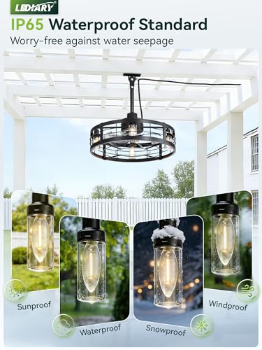 Outdoor Ceiling Fan with Light Black 22-Inch Waterproof IP65 Gazebo Fan