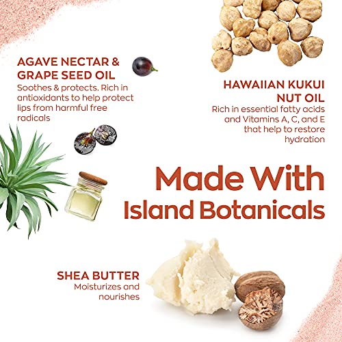 Hanalei Sugar Lip Scrub AND Kukui Oil Lip Treatment 15g Clear AND 5-Piece Tropical Lip Balm Set | Made with Hawaiian Botanicals | Cruelty-Free and Paraben-Free