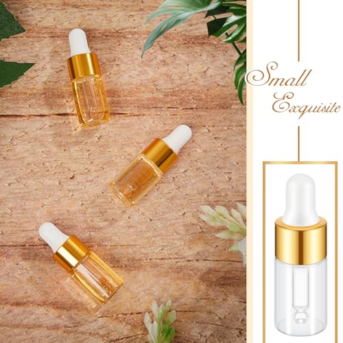Mini Glass Oil Dropper Bottles Set 3ml Champagne Gold 200 pcs - Travel & Sample Containers