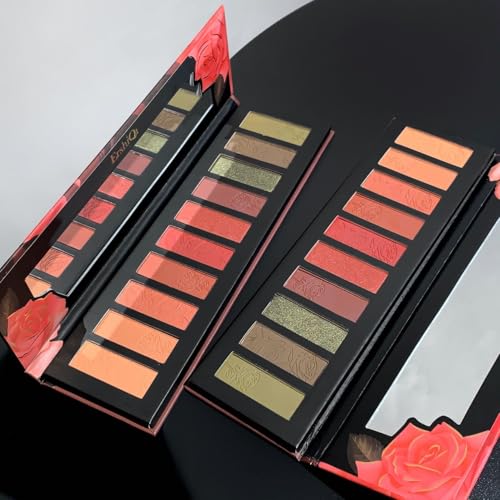 ERSHIQI Gemini Ten color eye shadow one multi-purpose matte pearlescent shimmer earth color new eye shadow