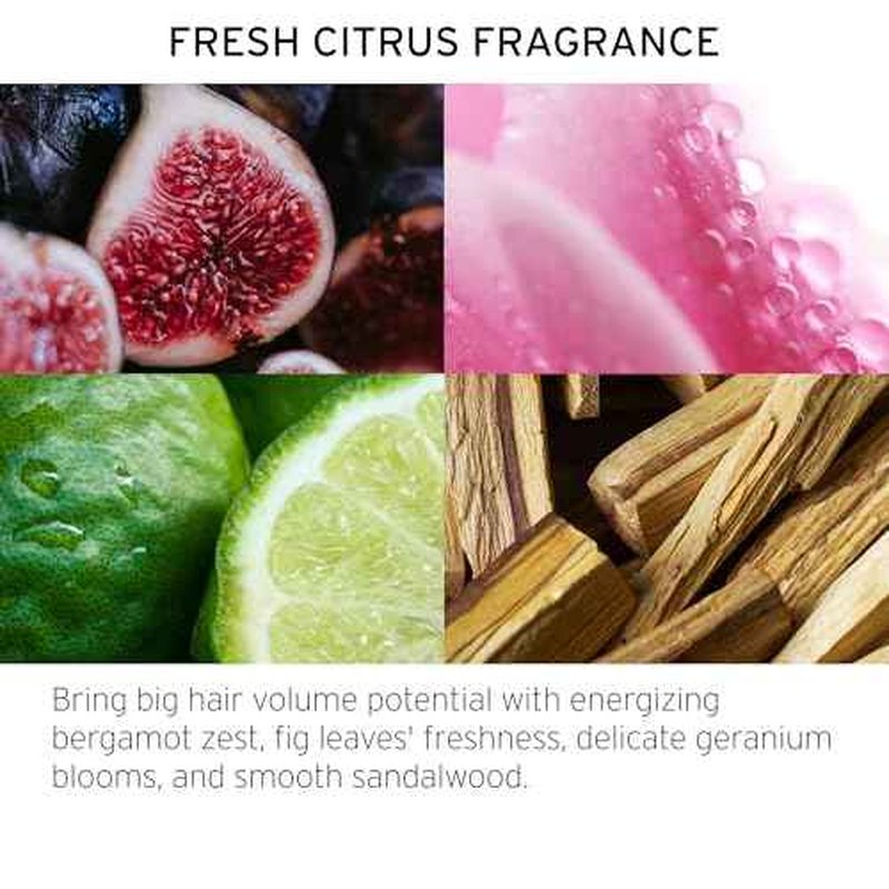 Fekkai Full Blown Volume Shampoo - 1 Liter - Adds Lift & Body for Lasting Volume For Fine or Flat Hair - Vegan, Cruelty-Free