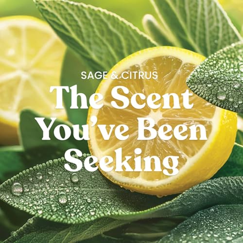 Yankee Candle Sage & Citrus Large Jar Candle Pack of 4 - Up to 150 Hours Burn Time, Giftable Home Fragrance