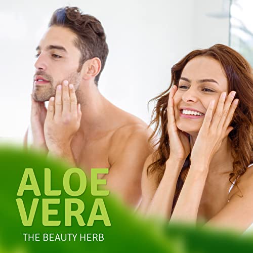 Concentrated Aloe Face & Body Lotion - 16 oz with Herbal Extracts & Grapefruit Scent - All Skin Types