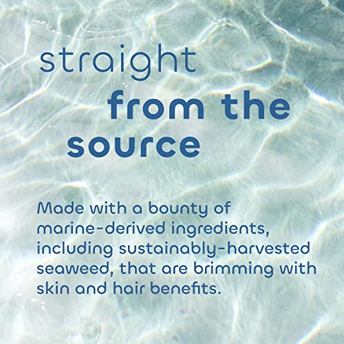 Seaweed Bath Co. Gentle Conditioner, Unscented, 12 Ounce, Sustainably Harvested Seaweed, Aloe, Argan Oil, for Sensitive Scalps