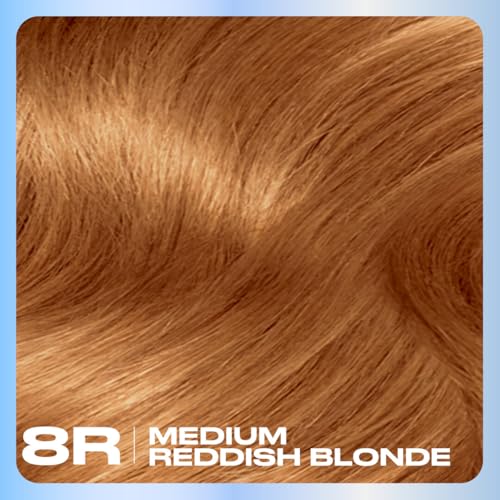 Permanent Hair Dye 8R Medium Reddish Blonde - 3 Pack, Natural Look, Gray Coverage