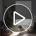 Joydeco Cordless Blackout Cellular Shades 56W x 64H White - Inside Mount