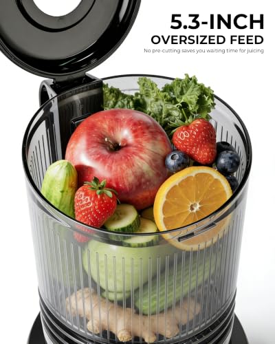 SUSTEAS Juicer Machine with 5.3-Inch Large Feed Chute - Silver Gray, High Juice Yield