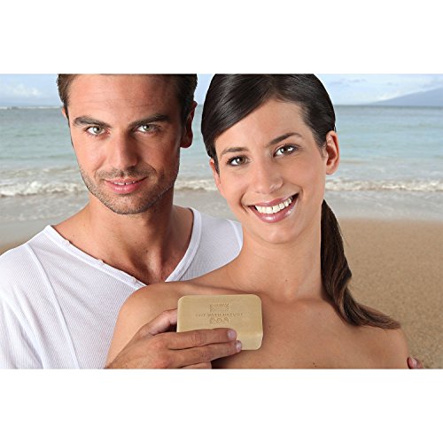 Shea Butter Dead Sea Mineral Soap Bars - 7 Ounce Pack of 6, Natural & Moisturizing