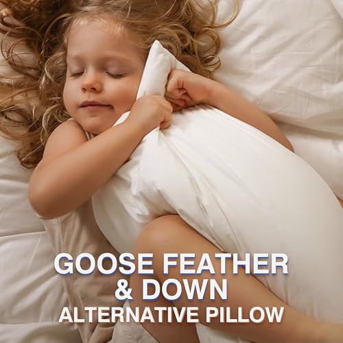 Queen Size Feather Pillow Set of 2 - Hotel Down Support & Softness
