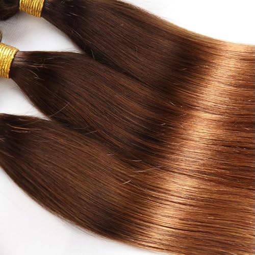 LOIUMGUU Brazilian Virgin Human Hair Bundles T4/30 Ombre Straight 12-16 Inch