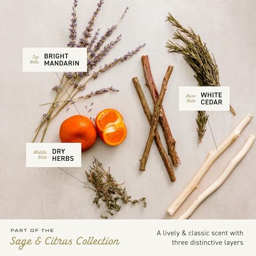 Clean & Clear Morning Burst¢ç Hydrating Facial Cleanser and Night Relaxing Facial Cleanser, Deep Cleansing Face Wash, Oil-Free Daily Facial Cleanser, 2 Pack, 2 x 8 fl. oz