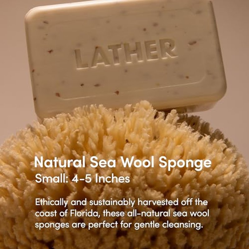 LATHER - Natural Sea Wool Sponge, 4-5" - Organic Exfoliating Body Scrubber - Soft, Gentle Cleansing - Hypoallergenic - All Skin Types - Florida Natural Loofah Sponge - Cruelty Free - Beauty & Skincare