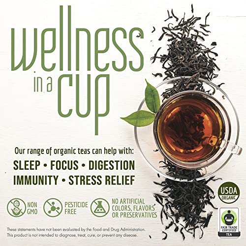 Silver Needles White Tea Bulk - Organic Loose Leaf, 16 Ounce Pack of 1