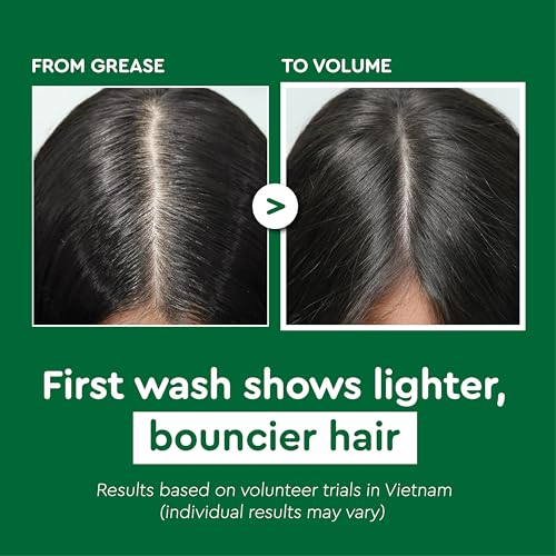 Ginger Shampoo & Conditioner Set for Thinning Hair - Herbal Hair Care, 2 Pack