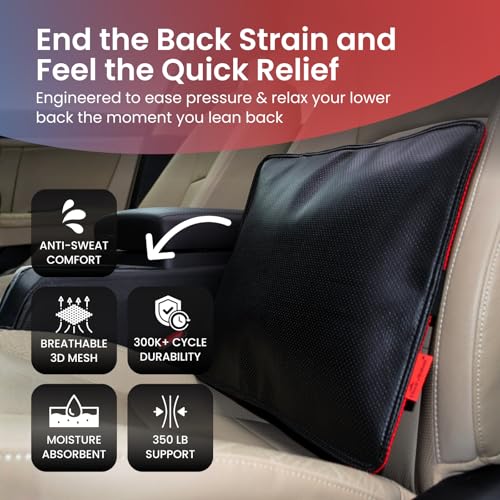 Back Vitalizer Lumbar Support Pillow for Office Chair & Car - Black