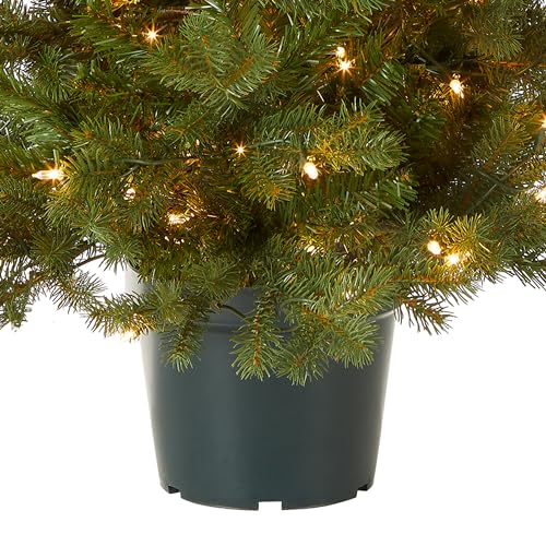 Pre-Lit Artificial Christmas Tree 3ft Hampton Spruce with Lights & Metal Base