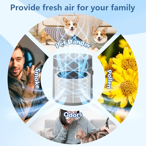 White HillClean Replacement HEPA & Carbon Filter for Blue Signature SP4i Air Purifier — 2 Pack