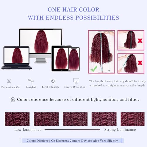 Red Lace Front Wigs Human Hair 13x6 Deep Wave 18 Inch 99J Burgundy Wet & Wavy